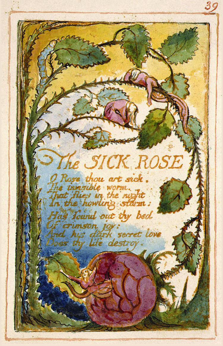 800px-Songs_of_innocence_and_of_experience,_page_39,_The_Sick_Rose_(Fitzwilliam_copy)